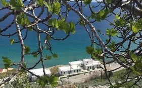 Antigoni