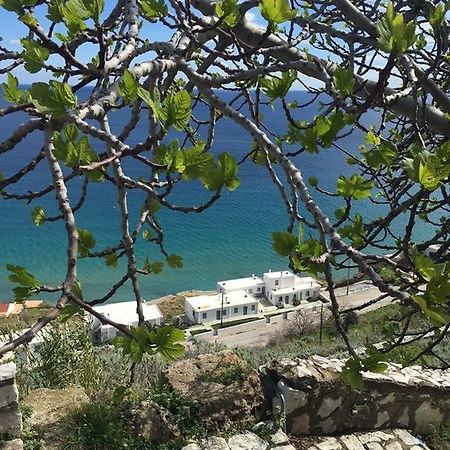Antigoni Διαμέρισμα Σκύρος Εξωτερικό φωτογραφία