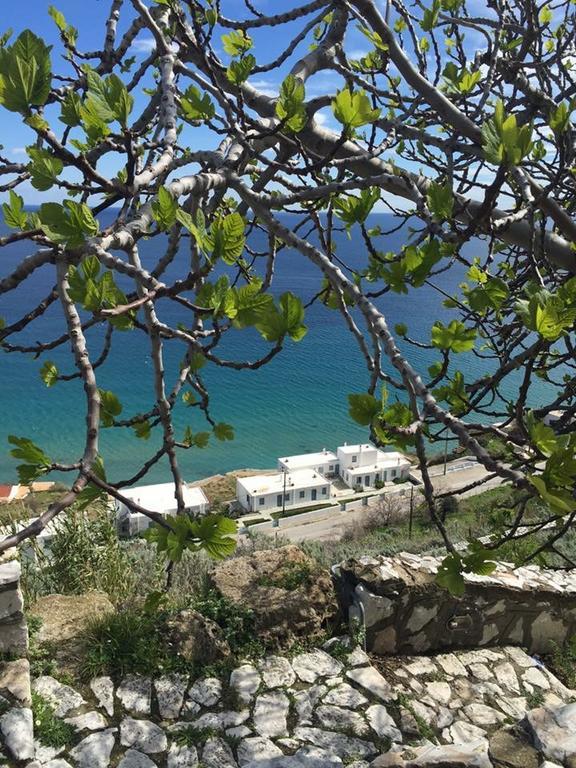Antigoni Διαμέρισμα Σκύρος Εξωτερικό φωτογραφία